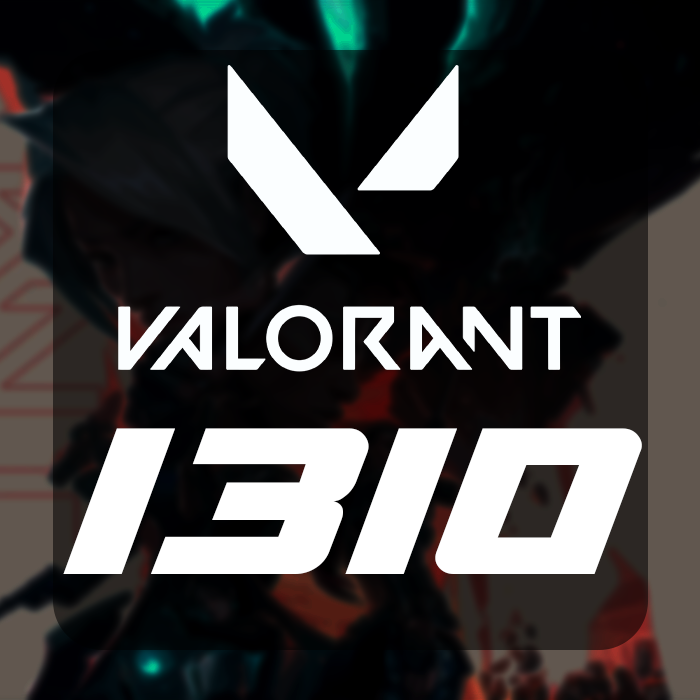 VALORANT 1310