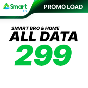 SMART BRO AND HOME ALL DATA 299