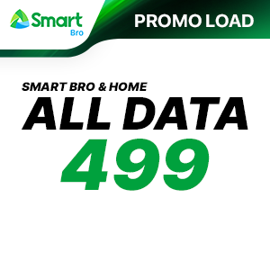 SMART BRO ALL DATA 499