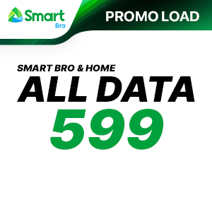 SMART BRO ALL DATA 599
