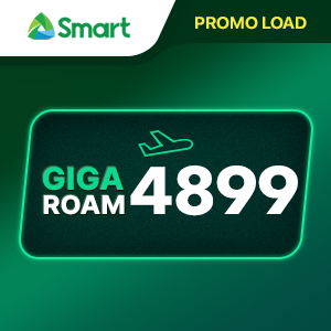 TNT GIGA ROAM 4899