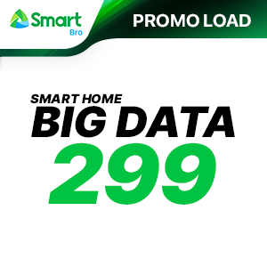 SMART HOME BIG DATA 299
