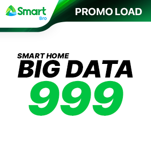 SMART HOME BIG DATA 999