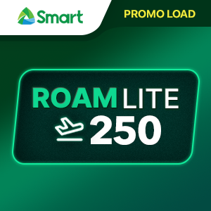 TNT ROAM LITE 250